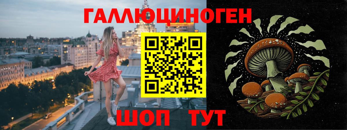 Галлюциногенные грибы мухоморы Хасавюрт